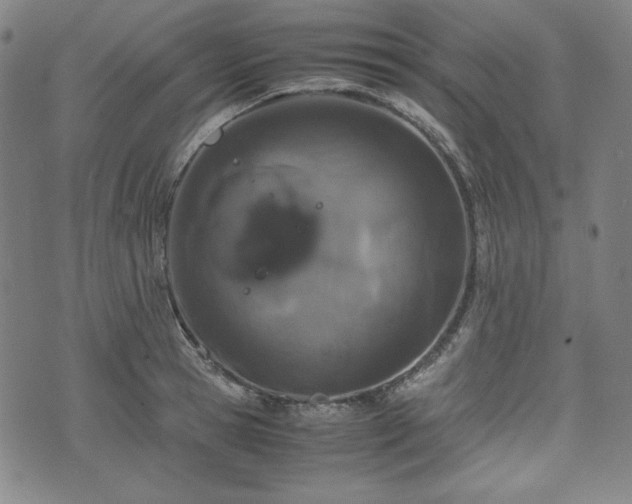 X0000072550945200607211356