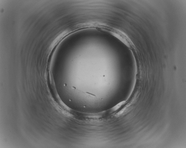 X0000072550946200607211356