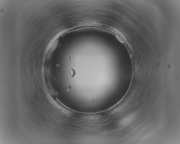 X0000072550947200607211356