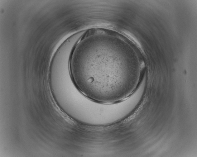 X0000072550948200607211356