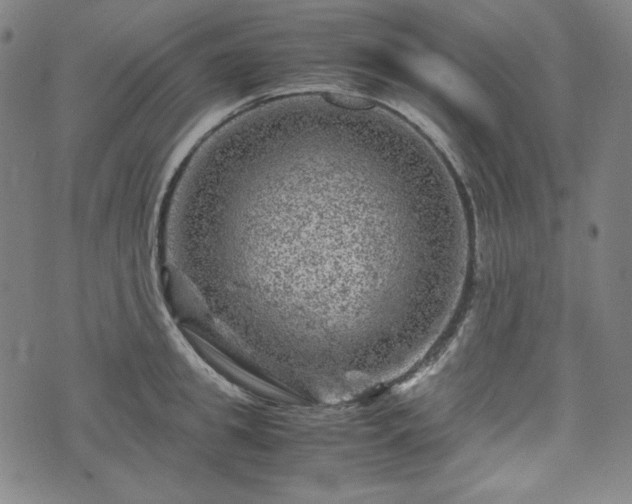 X0000072550949200607211356