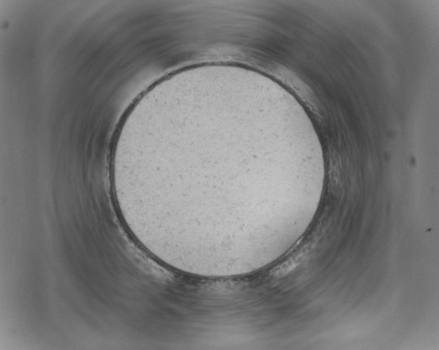 X0000072550950200607211356