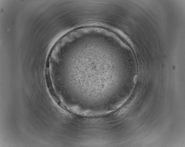 X0000072550951200607211356