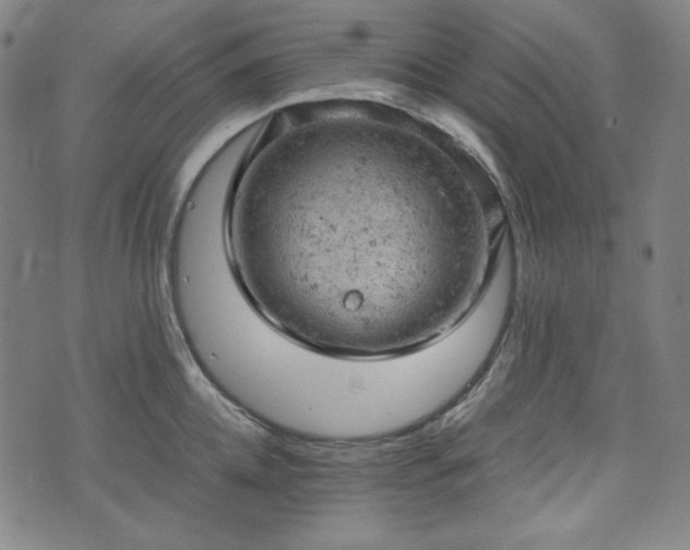 X0000072550952200607211356