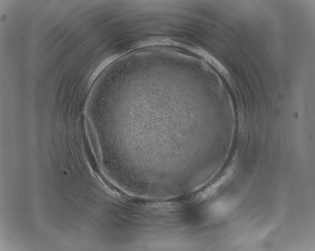 X0000072550953200607211356