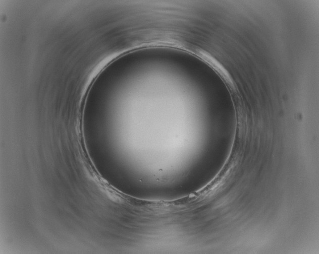 X0000072550956200607211356