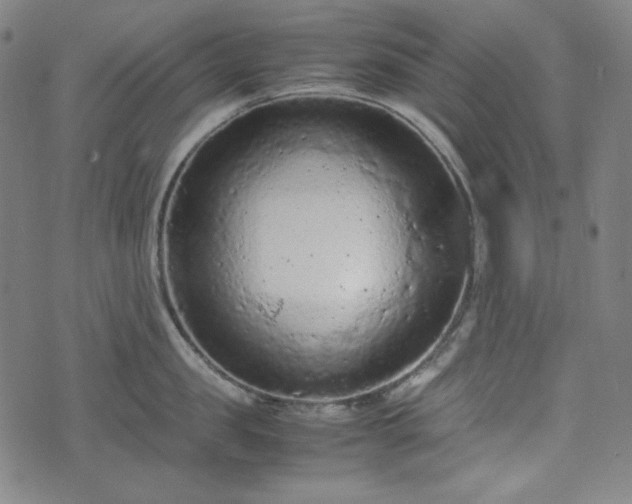 X0000072550957200607211356