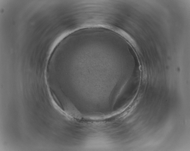 X0000072550958200607211356