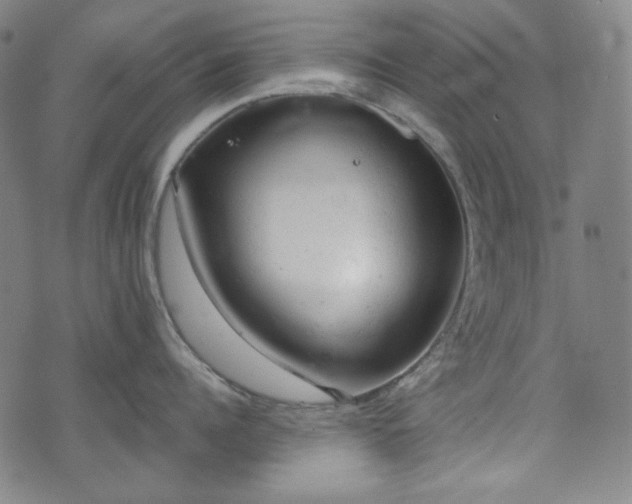 X0000072550960200607211356