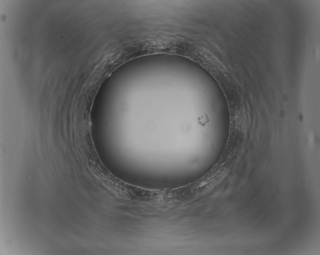 X0000072550961200607211355