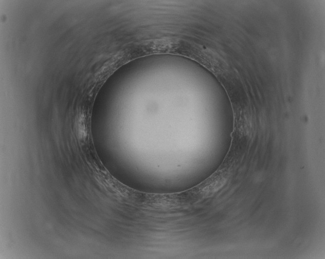 X0000072550962200607211355