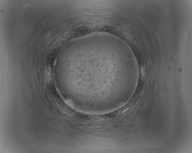 X0000072550963200607211355