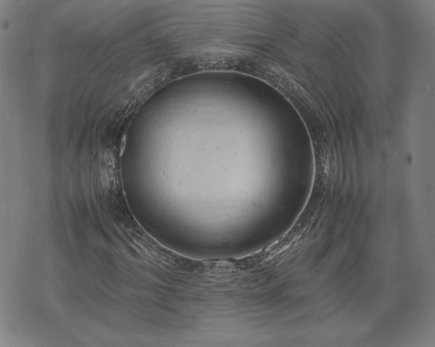 X0000072550964200607211355