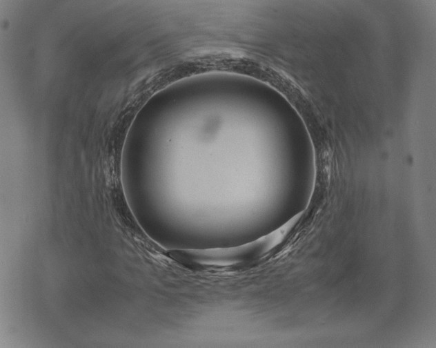 X0000072550965200607211355