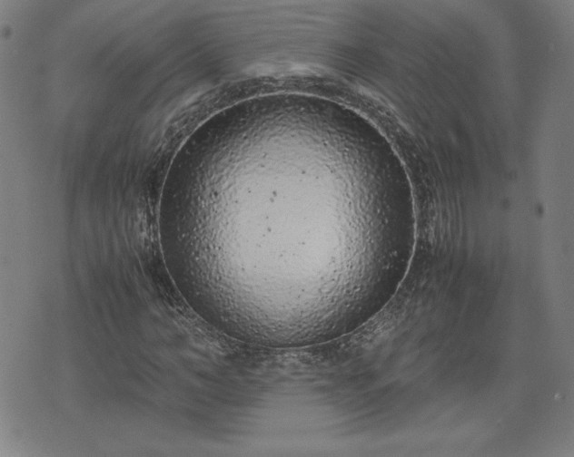 X0000072550966200607211355