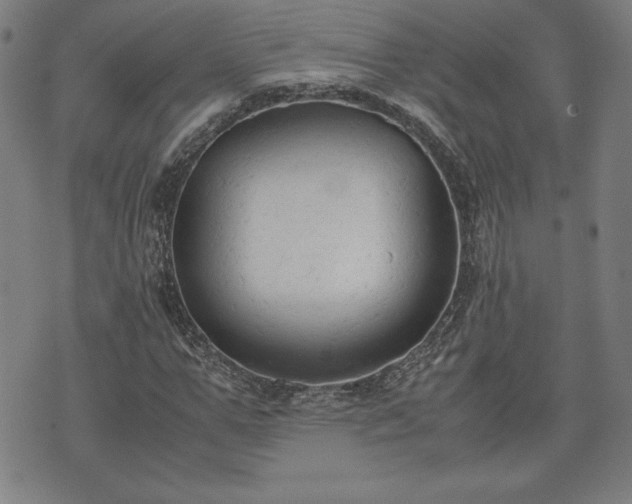 X0000072550967200607211355