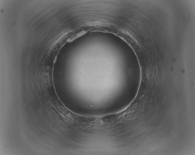 X0000072550968200607211355