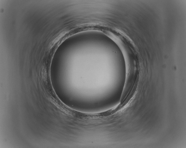 X0000072550969200607211355