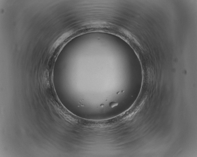 X0000072550970200607211355