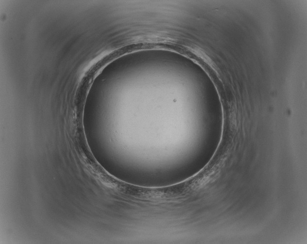 X0000072550971200607211355