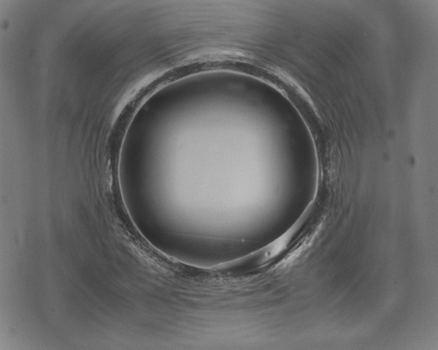 X0000072550973200607211355