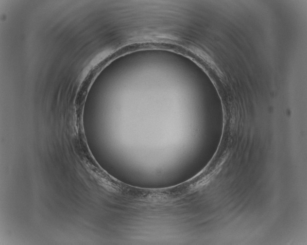 X0000072550974200607211355