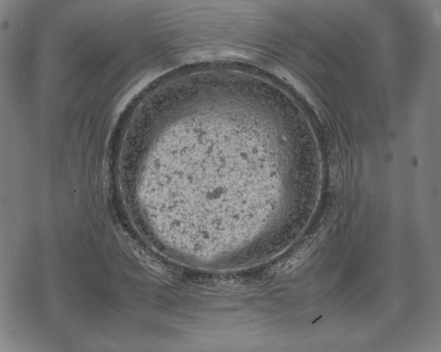 X0000072550975200607211355