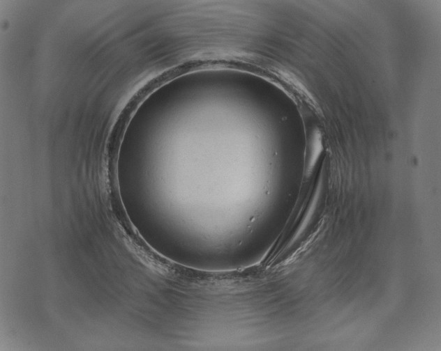 X0000072550976200607211355