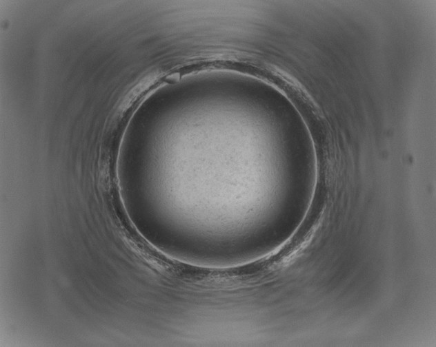 X0000072550977200607211355