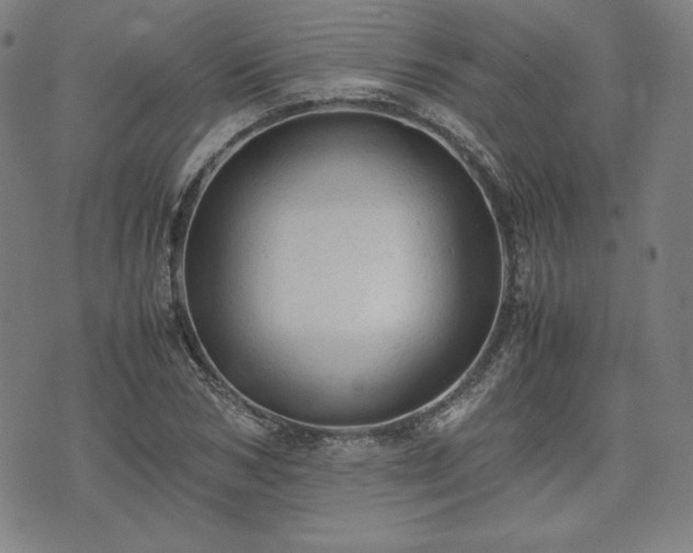 X0000072550978200607211355