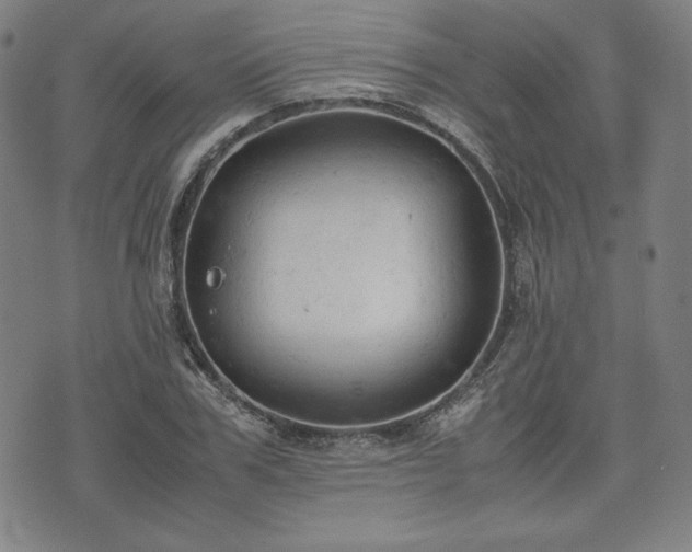 X0000072550979200607211355