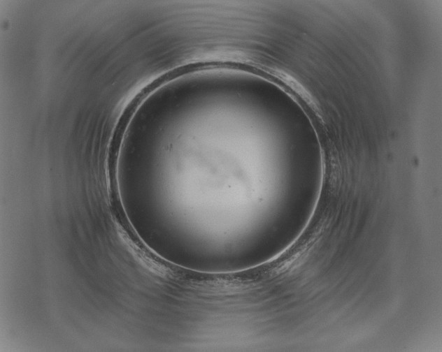 X0000072550980200607211355