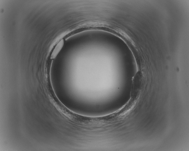 X0000072550981200607211355