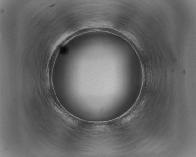 X0000072550982200607211355