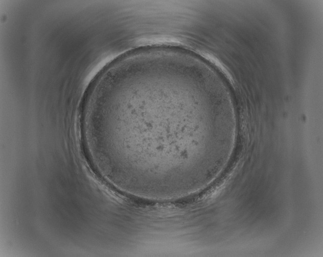 X0000072550983200607211355