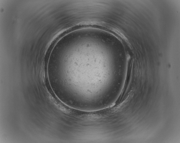 X0000072550984200607211355