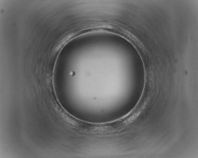 X0000072550985200607211355