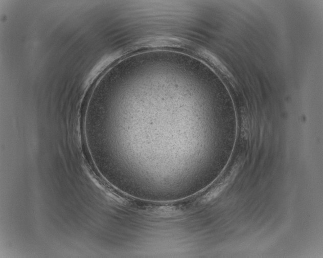 X0000072550986200607211355