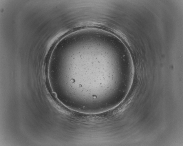 X0000072550987200607211355