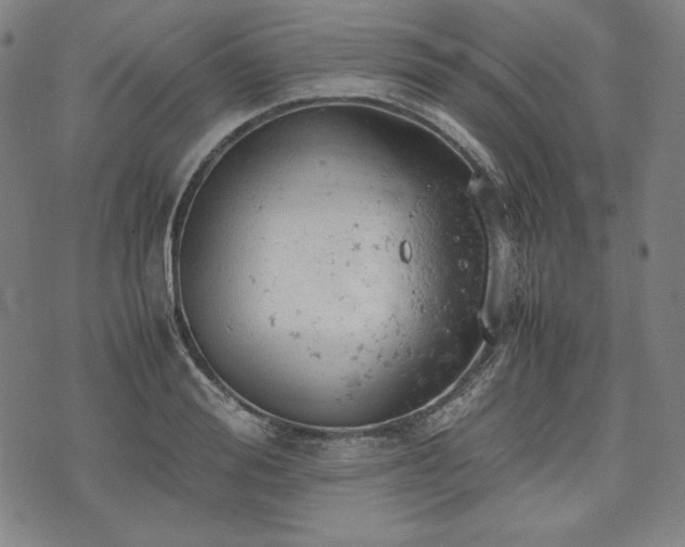 X0000072550988200607211355