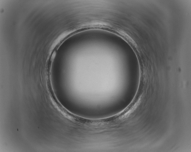 X0000072550989200607211355