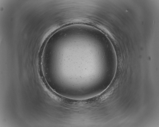 X0000072550991200607211355