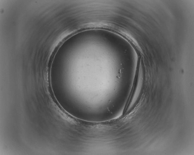 X0000072550992200607211355