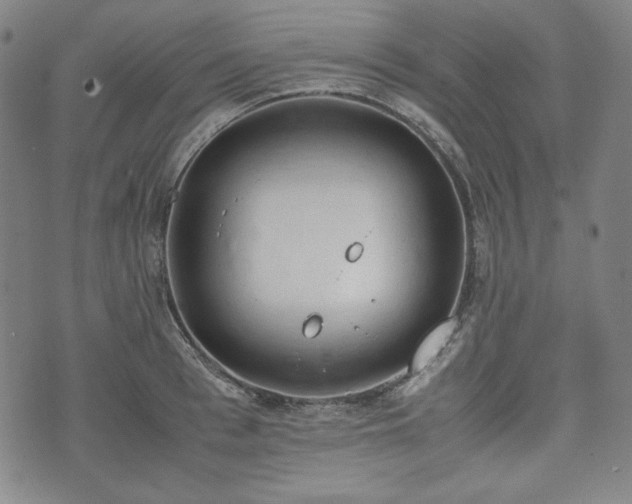 X0000072550993200607211354