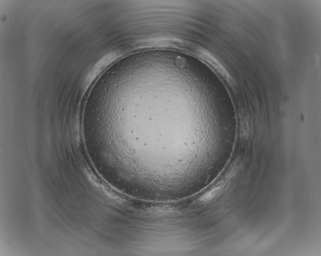 X0000072550994200607211354