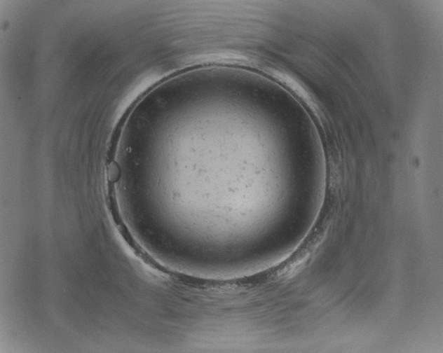 X0000072550999200607211354