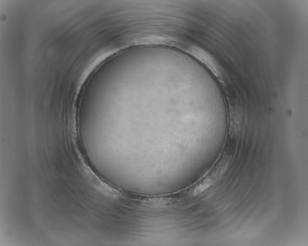 X0000072551000200607211354