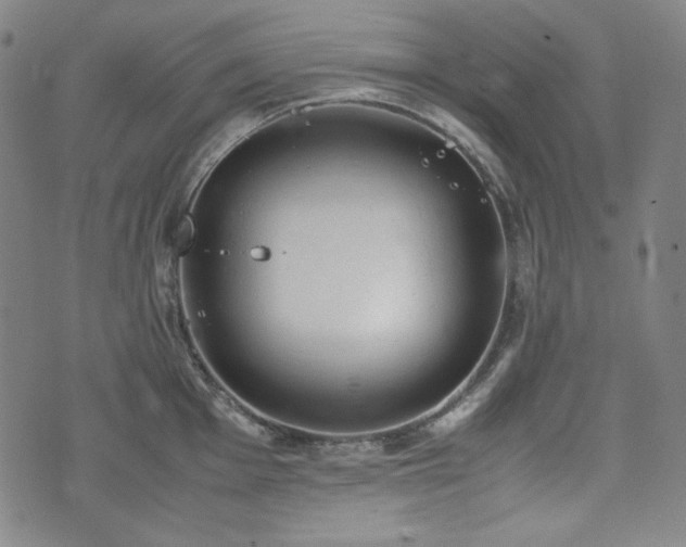 X0000072551001200607211354