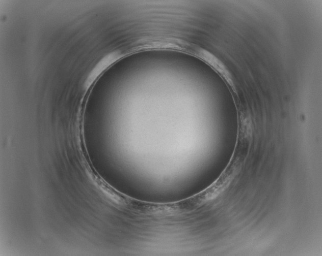 X0000072551002200607211354