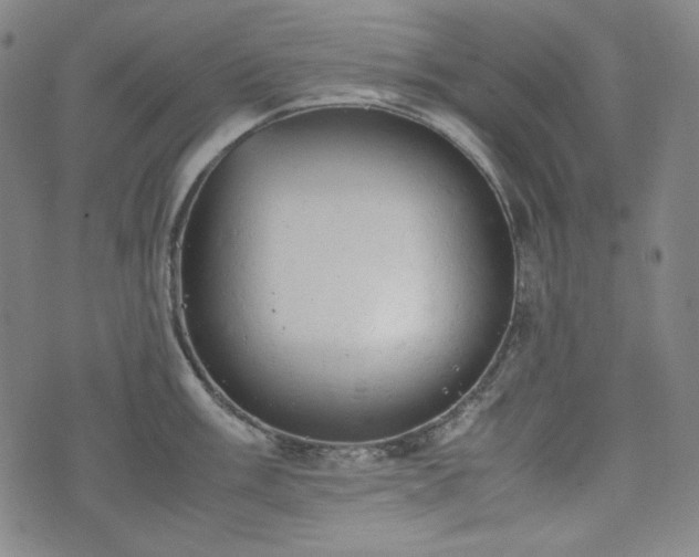 X0000072551003200607211354